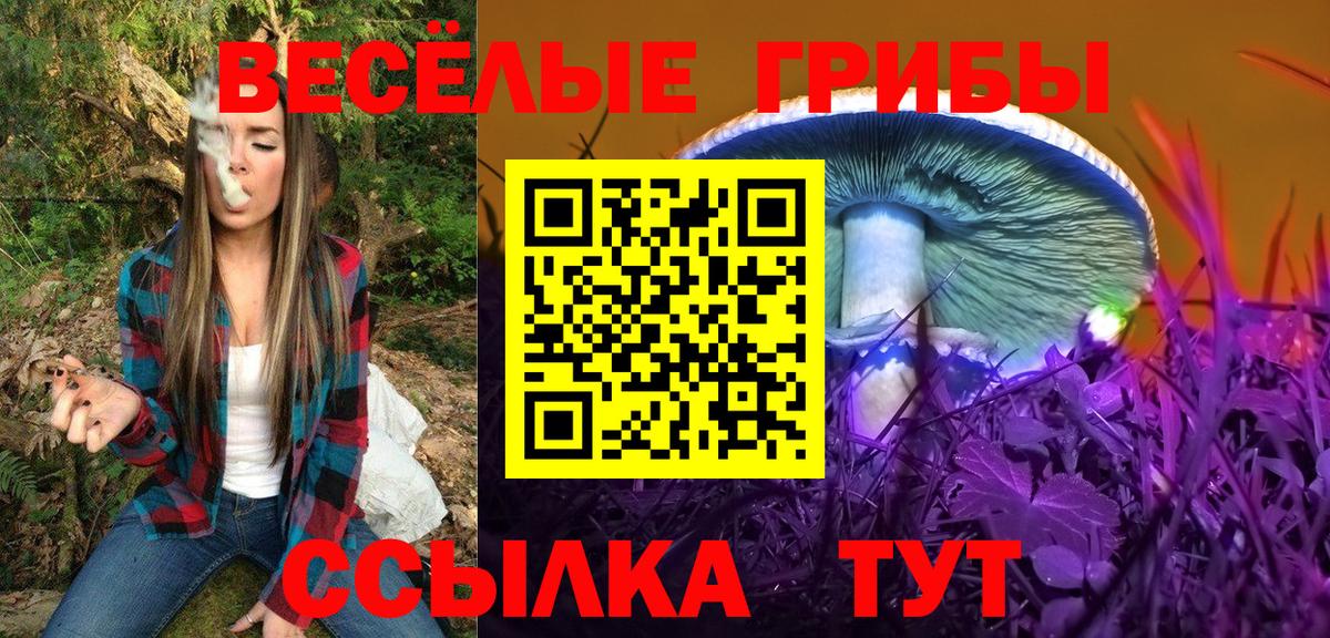 Псилоцибиновые грибы MAGIC MUSHROOMS Астрахань